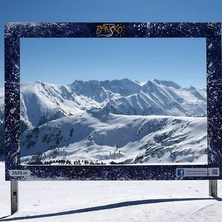 Host2u Authentic - Free Parking *